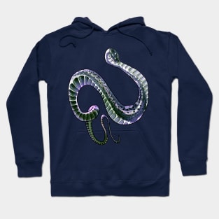 Xenodermus Javanicus dragon snake Hoodie